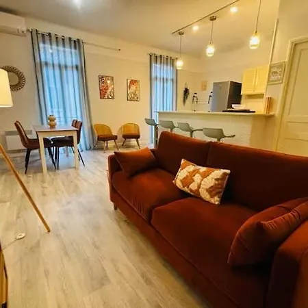 Grand T2 Avec Clim Balcon Wifi ペルピニャン